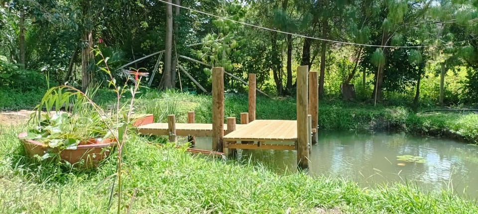 Garden, Lake view