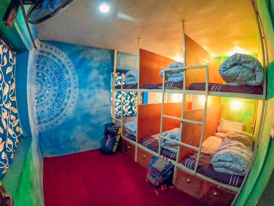 Bed, Photo of the whole room, bunk bed