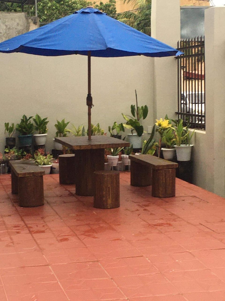 Patio, Day, Garden, Garden view