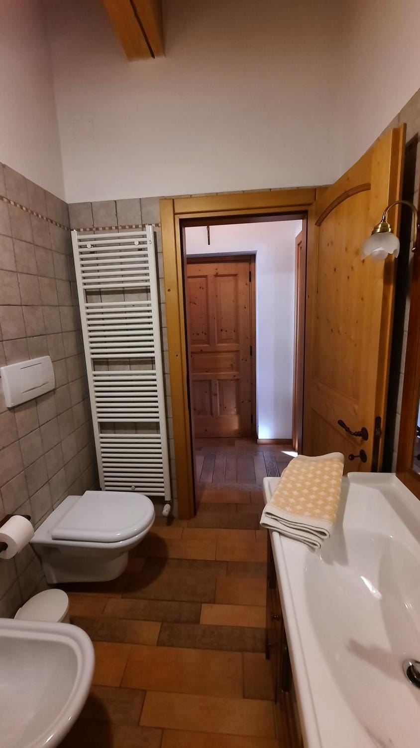 Shower, Toilet, Bathroom, bidet