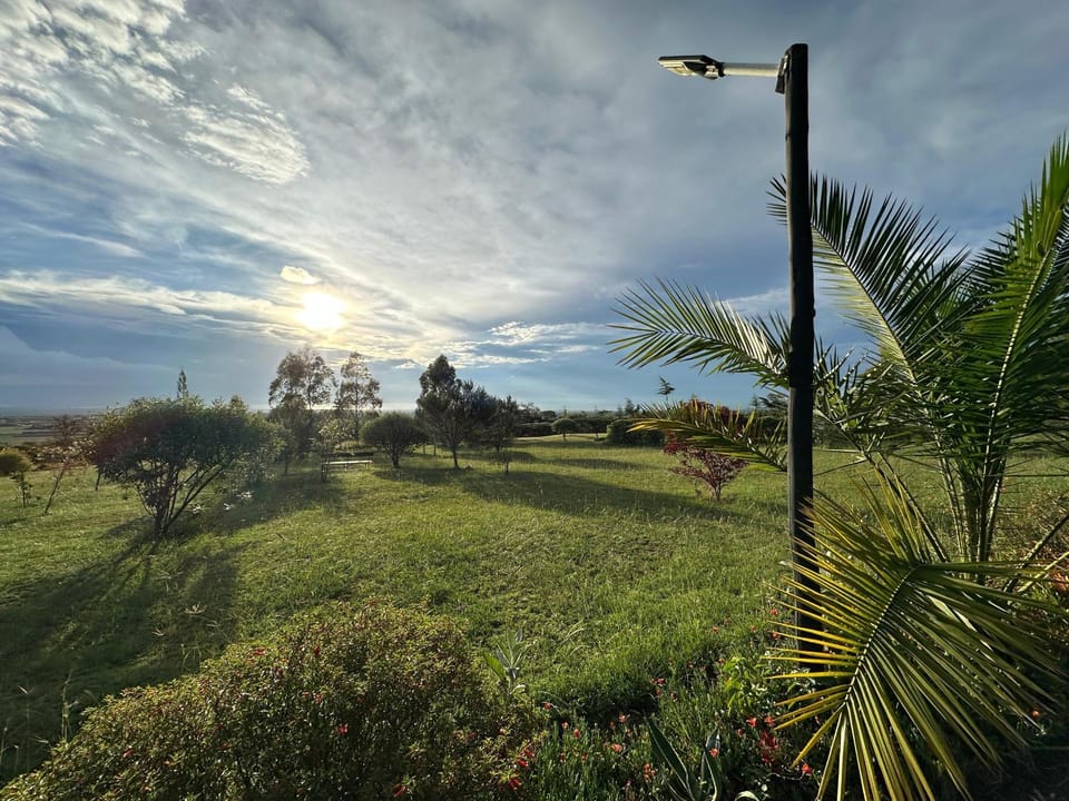 Garden, Garden view