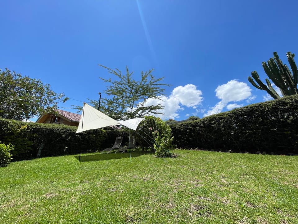 Spring, Day, Garden, Garden view