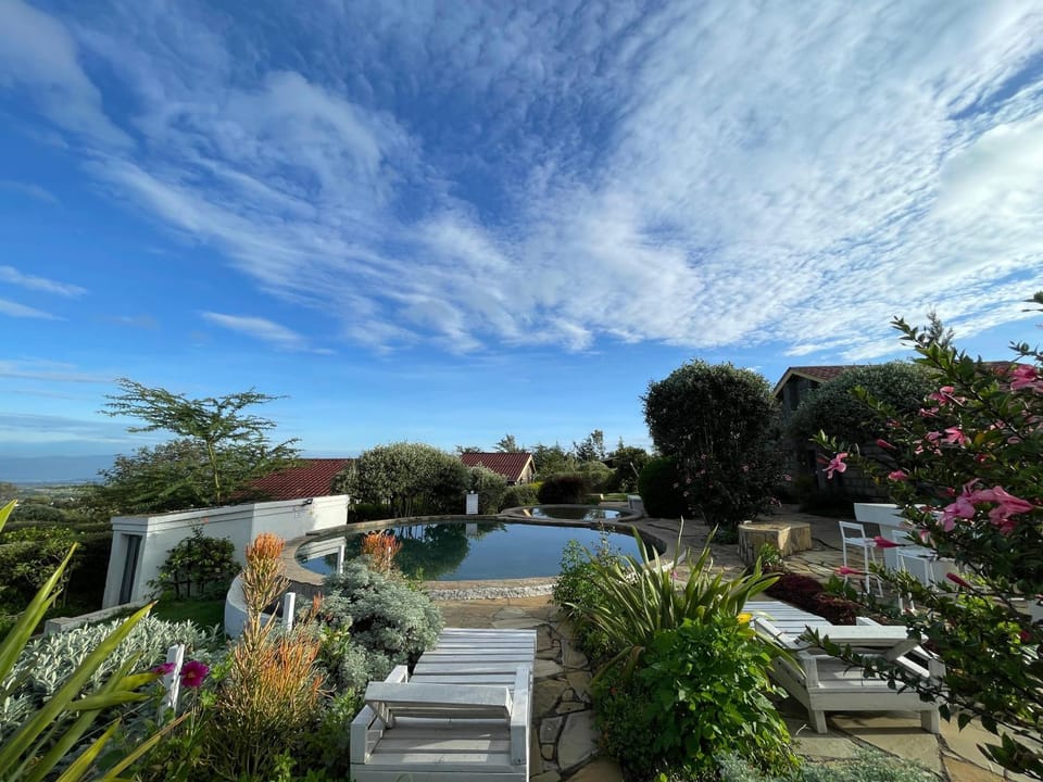 Garden, Garden view, Swimming pool