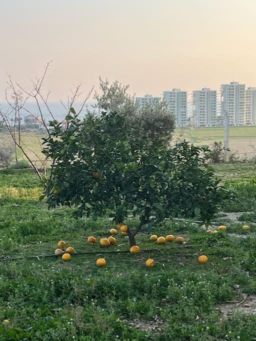 Natural landscape