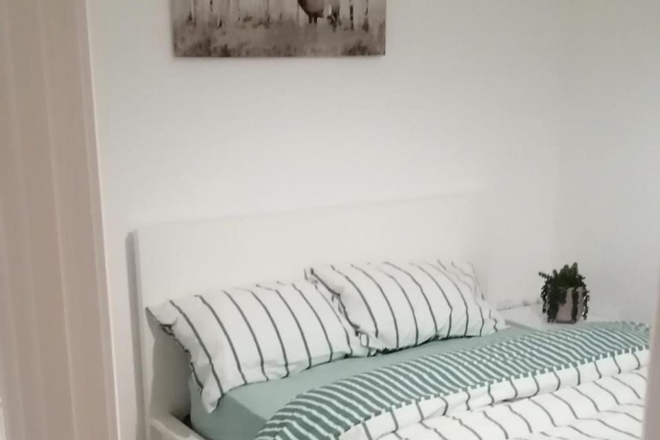 1 Bed Apartment Sleeps 2 - Parking & Wifi Apartment in Hinckley