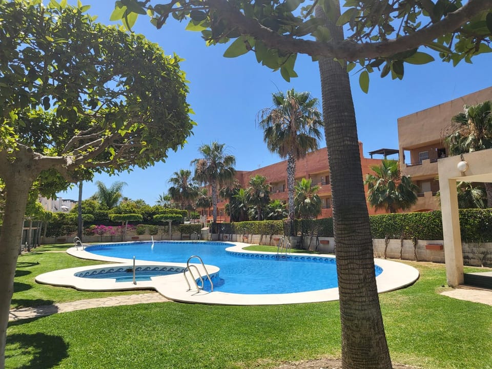 Day, Pool view, Swimming pool