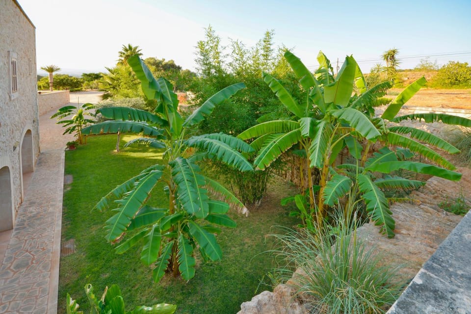 Natural landscape