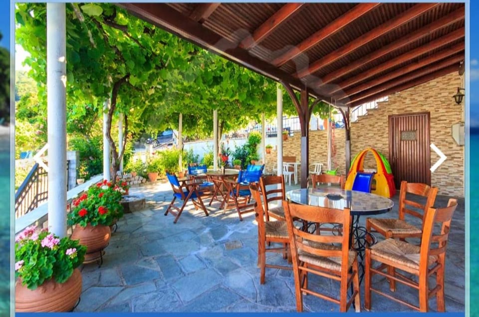 Zeus Guesthouse Bed and Breakfast in Thasos