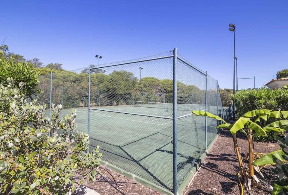 Tennis court, Tennis court
