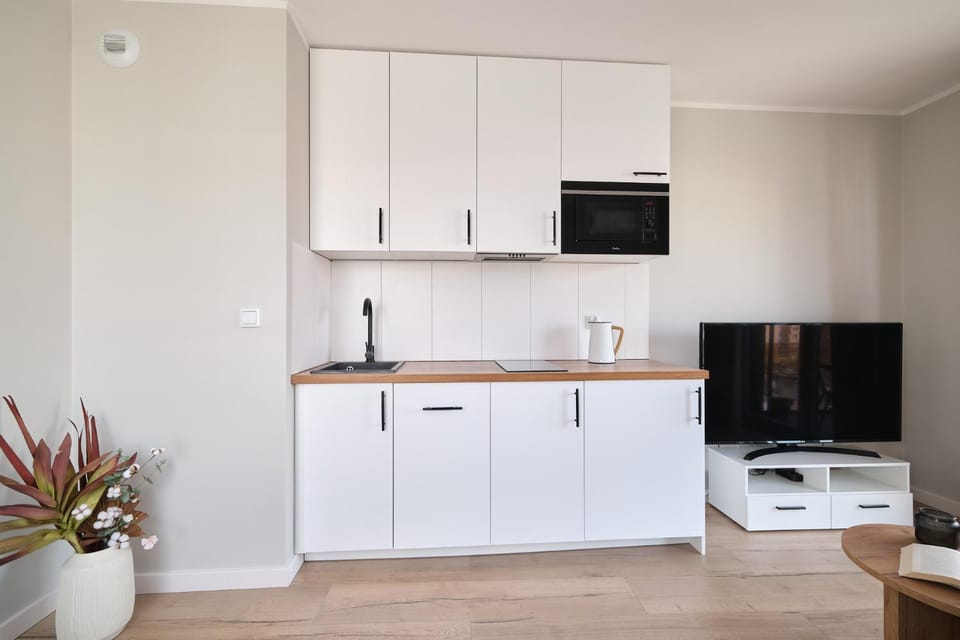 TV and multimedia, Kitchen or kitchenette, oven, stove