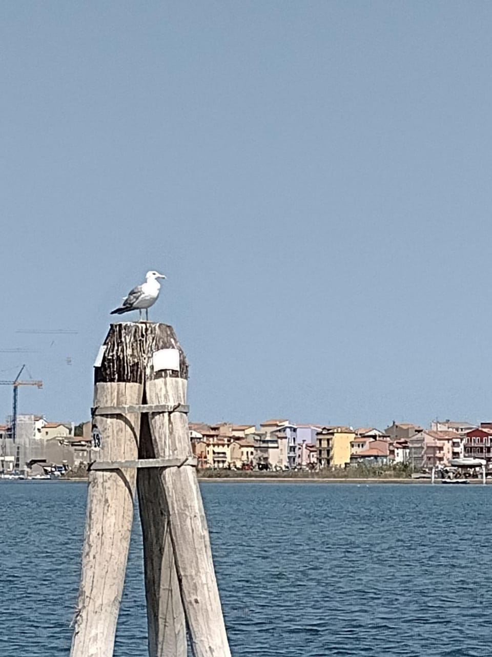 Casa della nonna Apartment in Chioggia