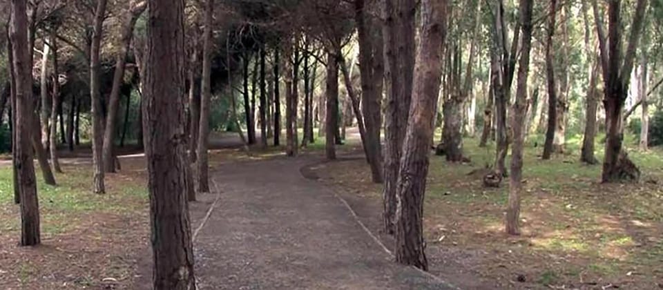 Natural landscape