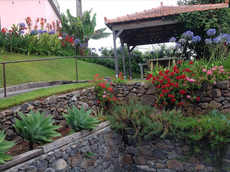 Casa dos Gatos House in Madeira District