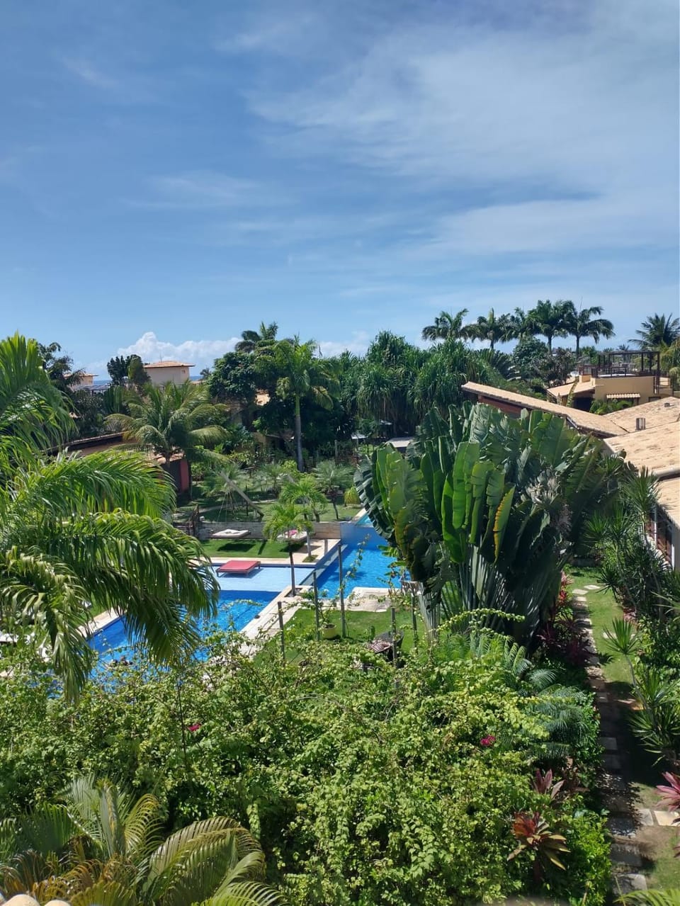 Pool view