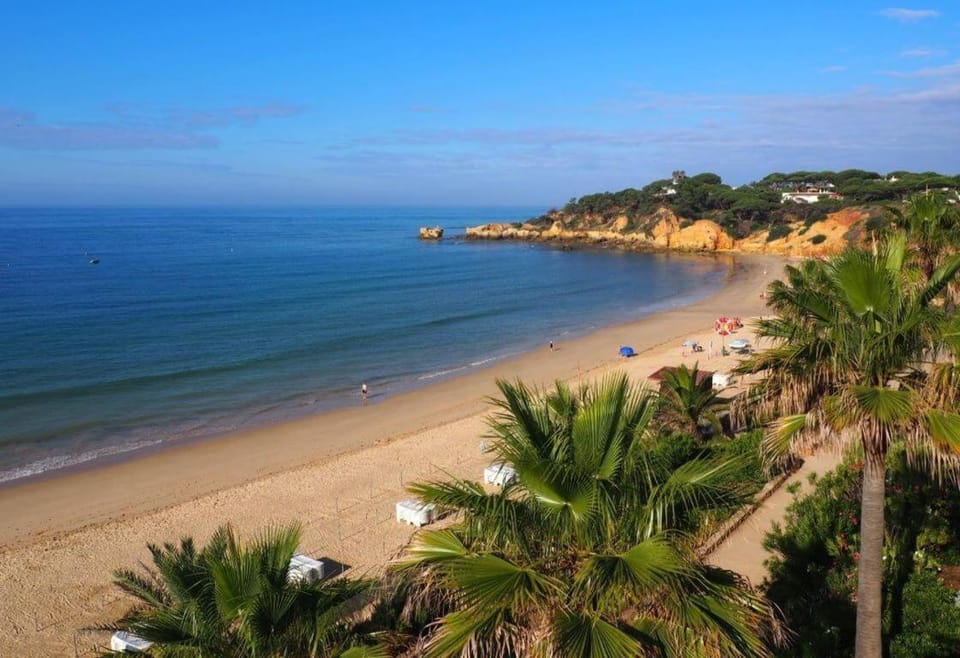 Natural landscape, Sea view