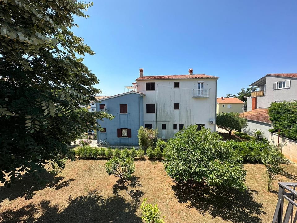 Garden, Garden, Garden view