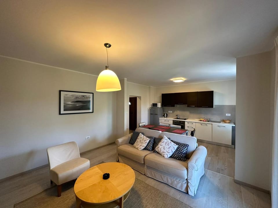 Kitchen or kitchenette, Living room, Seating area, Dining area, minibar, pet friendly, stove