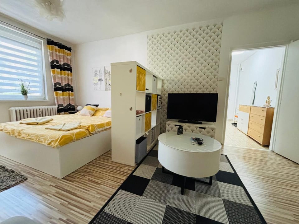 Apartment city centrum Apartment in Slovakia