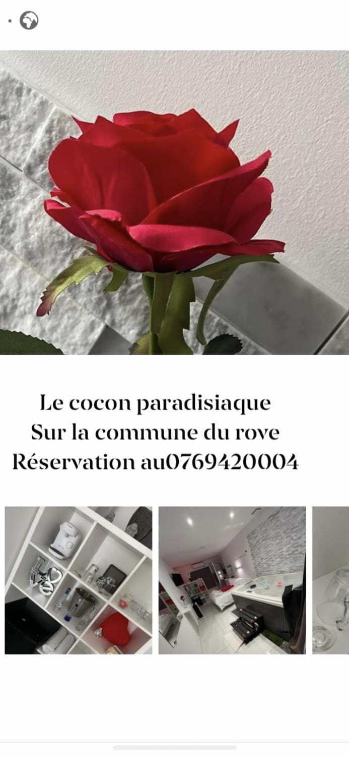 Love room avec spa privatif Bed and Breakfast in Marseille