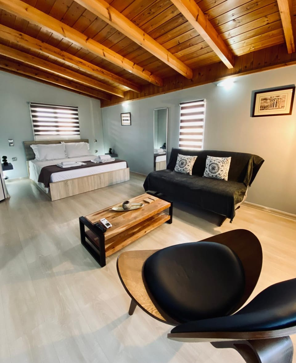 Bed, Living room, Photo of the whole room, Seating area, Bedroom