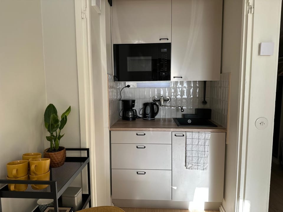 Coffee/tea facilities, Kitchen or kitchenette, minibar, stove