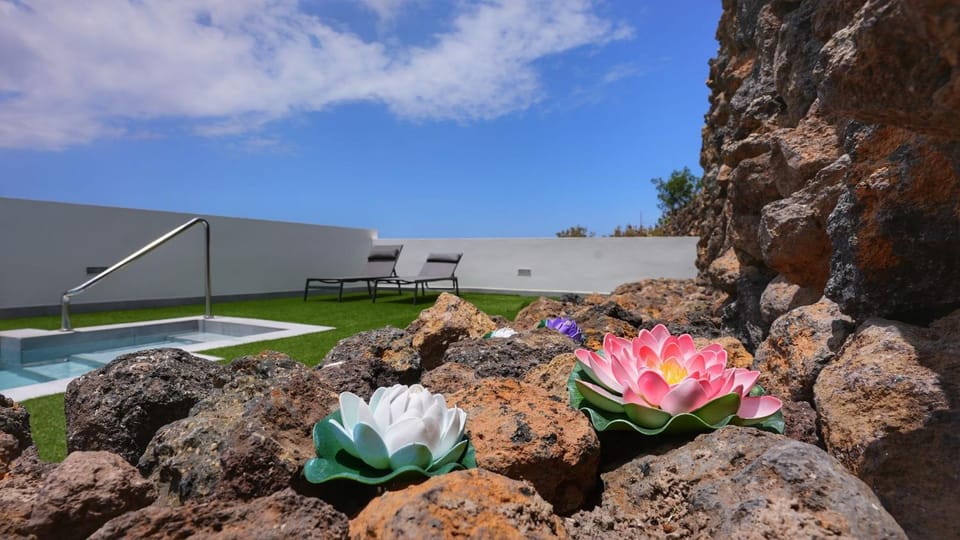 Garden view, sunbed
