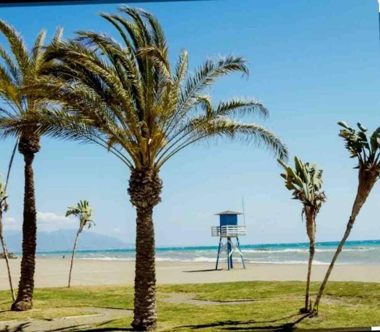 Natural landscape, Beach, Sea view