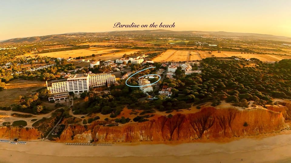 Property building, Bird's eye view