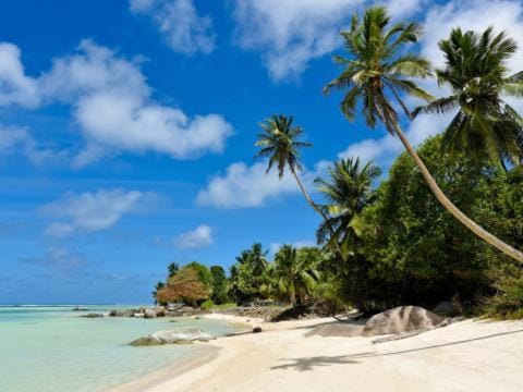 Natural landscape, Beach, Sea view