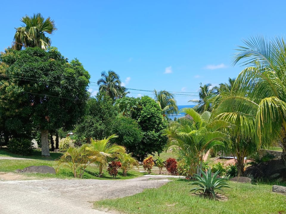Natural landscape, Garden, Garden view, Sea view