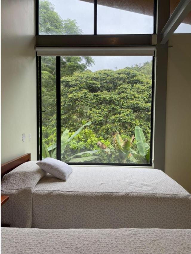 Bed, Natural landscape, Photo of the whole room, Bedroom