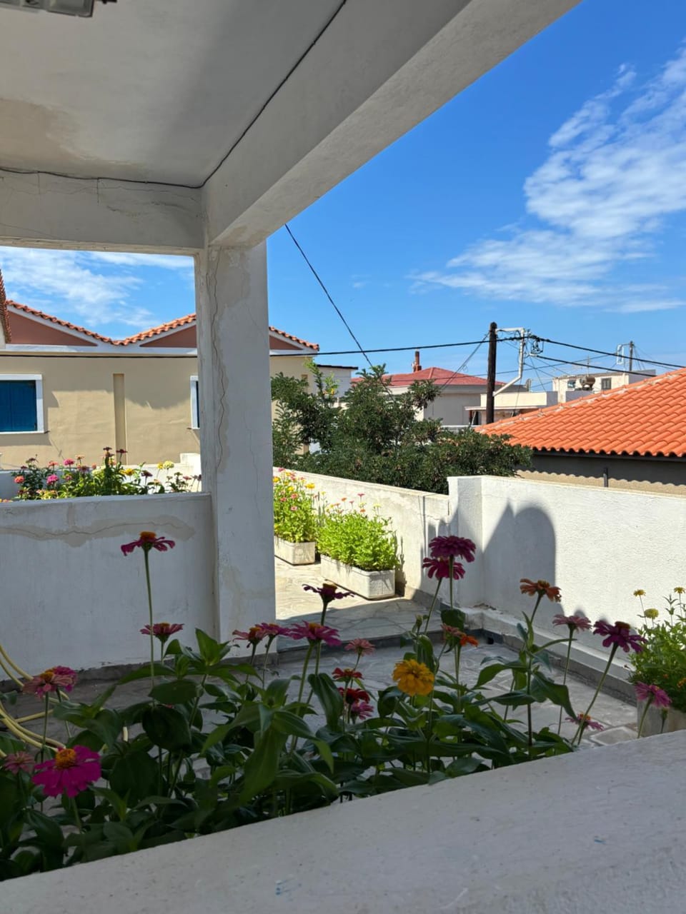 Property building, Garden, Garden view