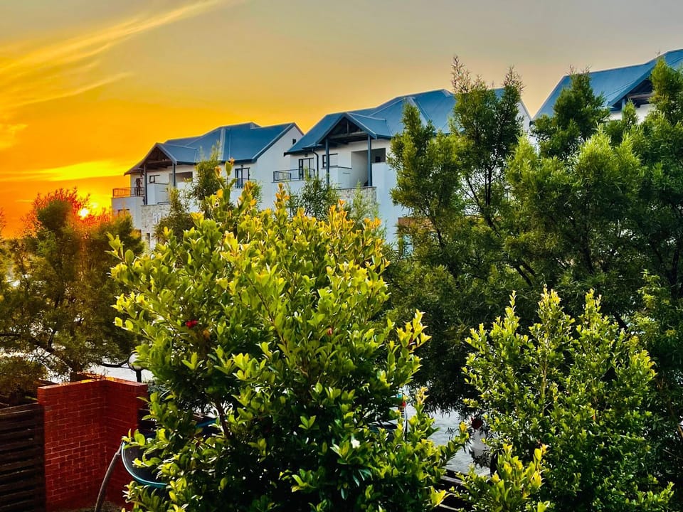 Garden view, Sunset
