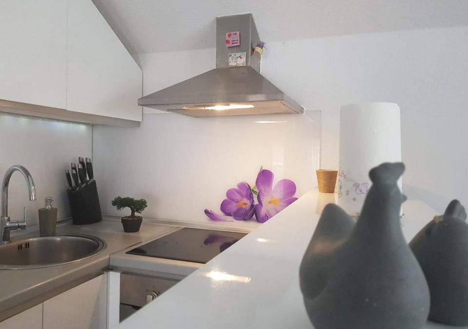 Kitchen or kitchenette, stove, kitchen