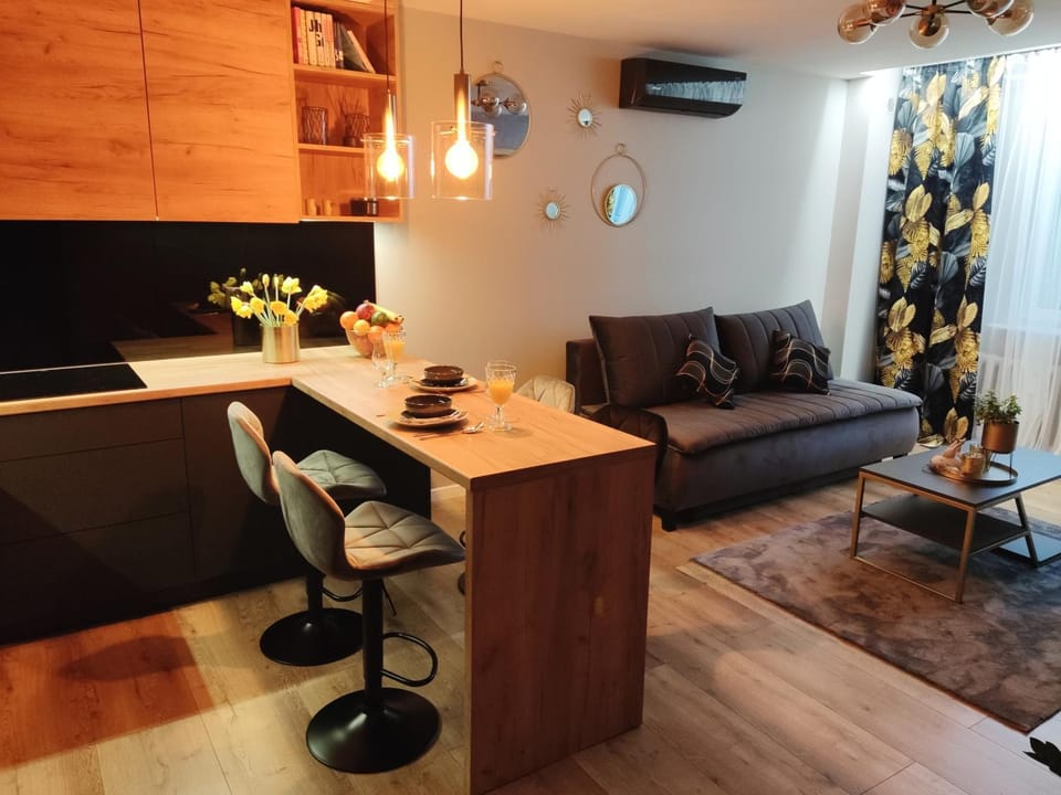 Best Apartment in Lviv Oblast