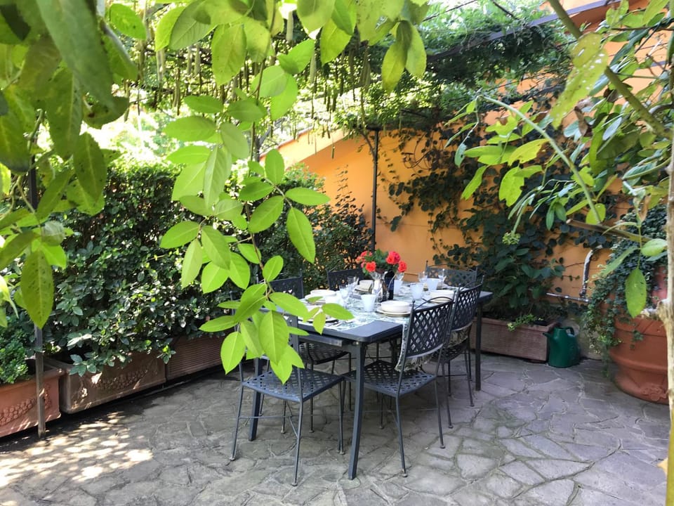 Patio, Garden
