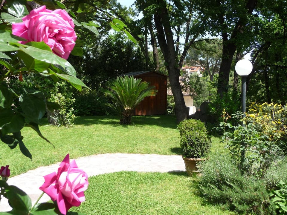 Garden, Garden