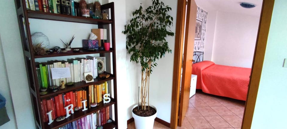 Library, Photo of the whole room