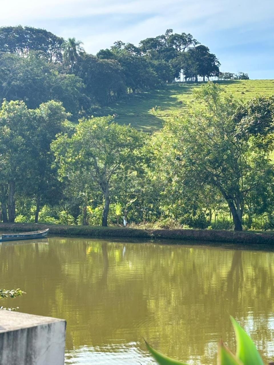 Lake view