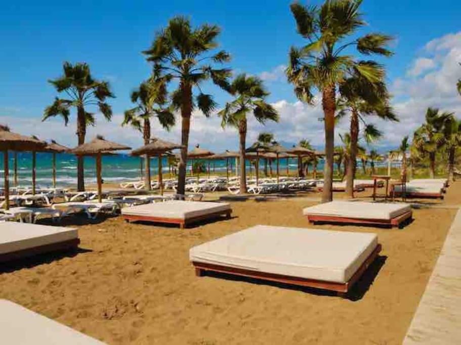 Beach, sunbed