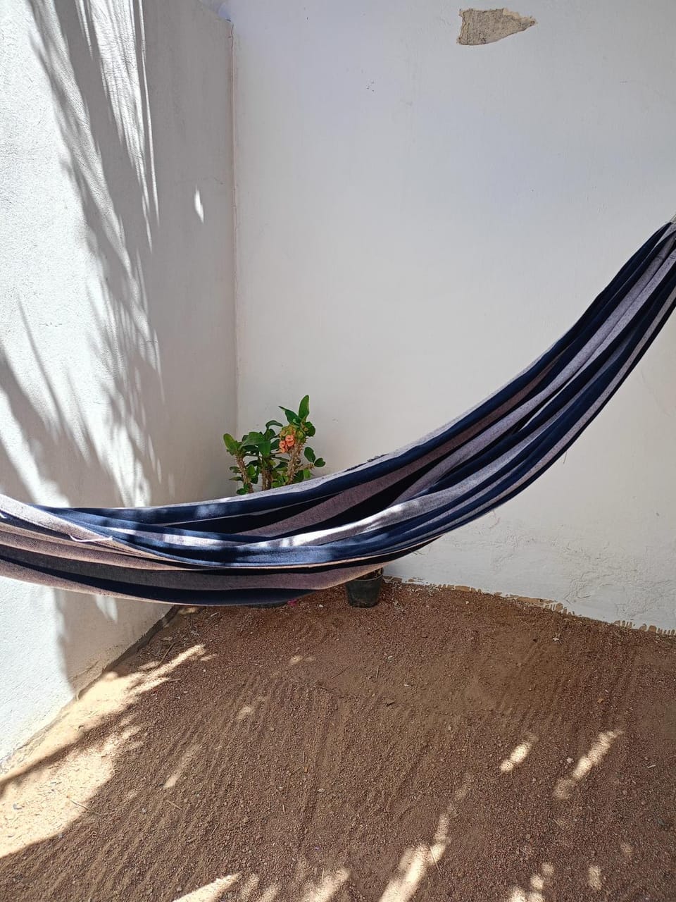 House with backyard in dahab House in South Sinai Governorate