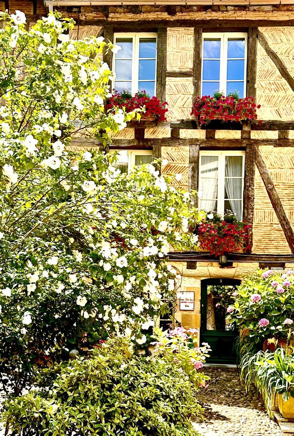 Le Logis Plantagenêt Bed and Breakfast in Bergerac