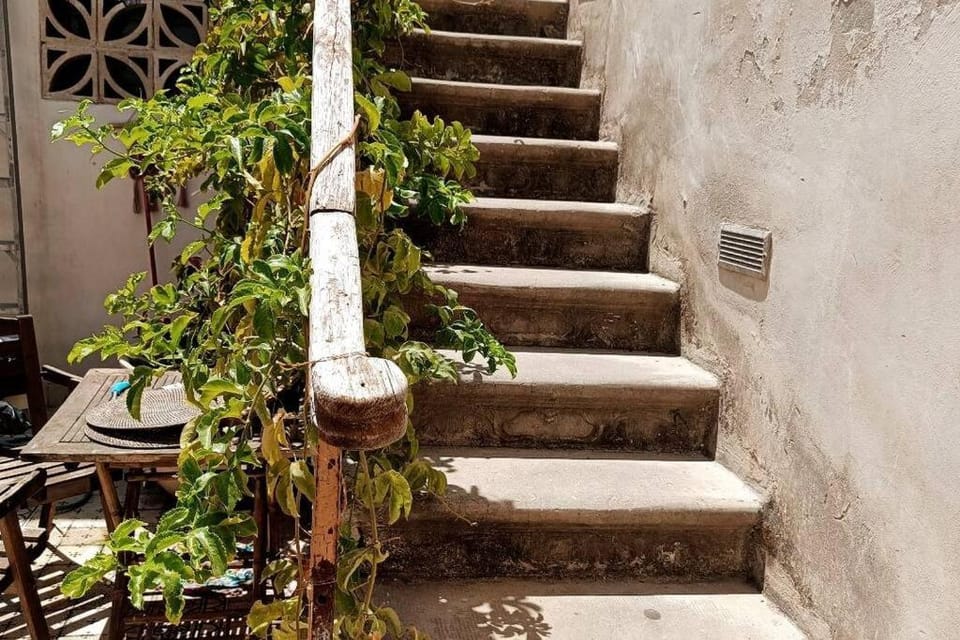 BIG BIG TERRACE KEREM COSY STUDIO Apartment in Tel Aviv-Yafo