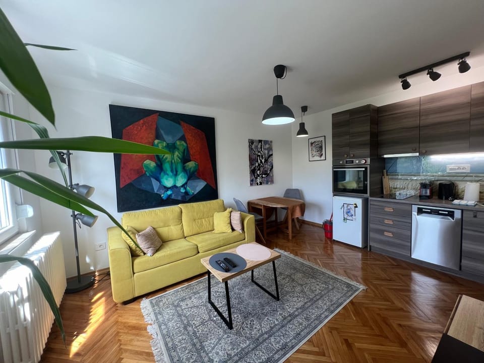 Olgens Apartment in Novi Sad