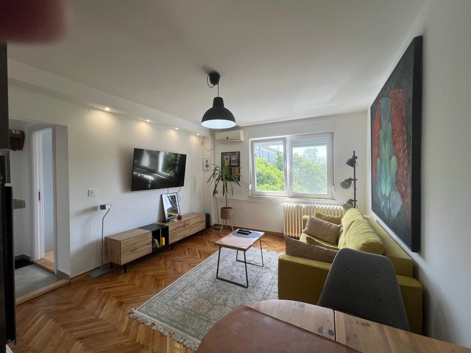 Olgens Apartment in Novi Sad
