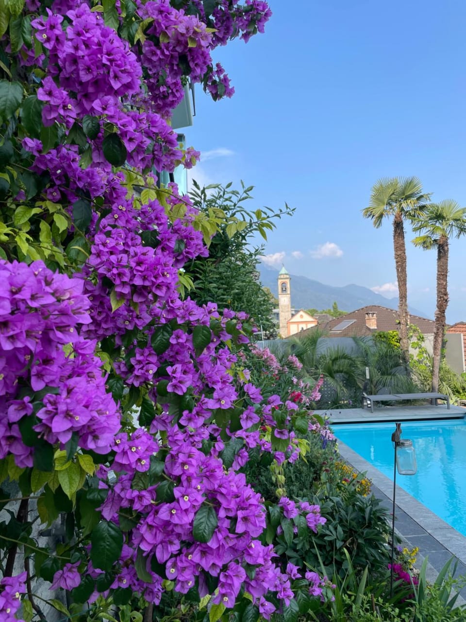 Spring, Day, Natural landscape, Garden, Garden view, Garden view, Pool view, Swimming pool, Swimming pool