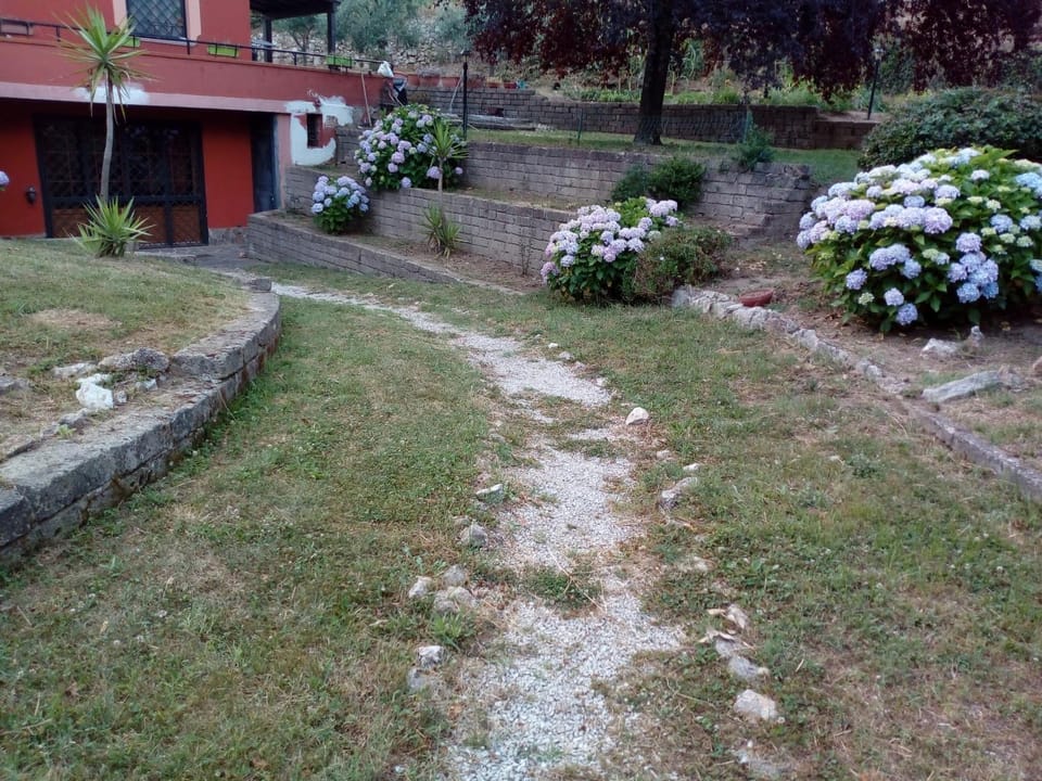 Facade/entrance, Garden