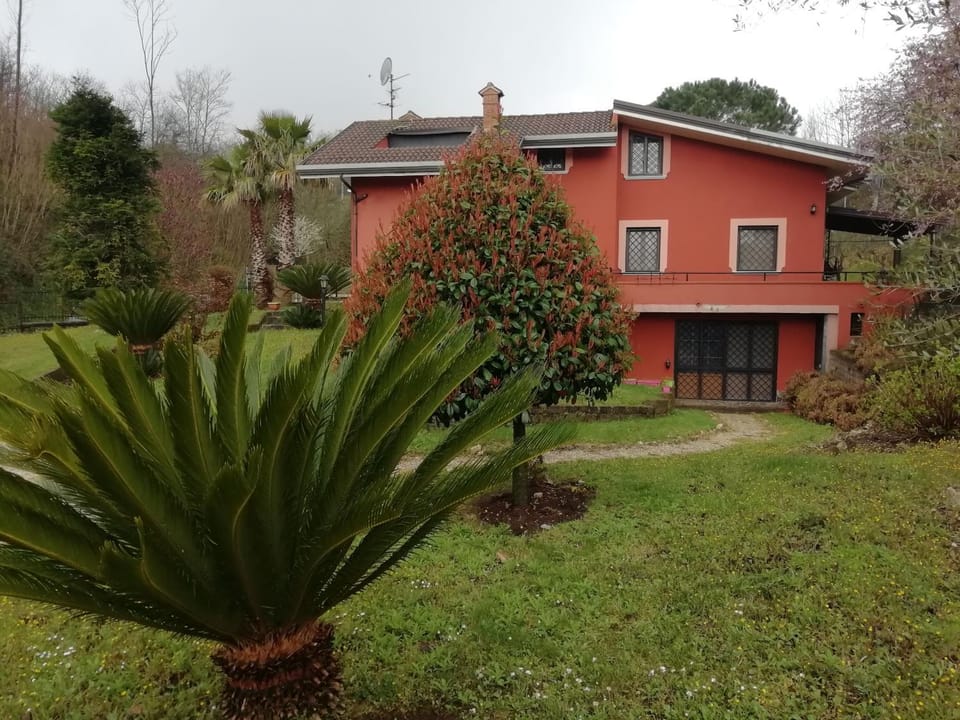 Property building, Garden, Garden view