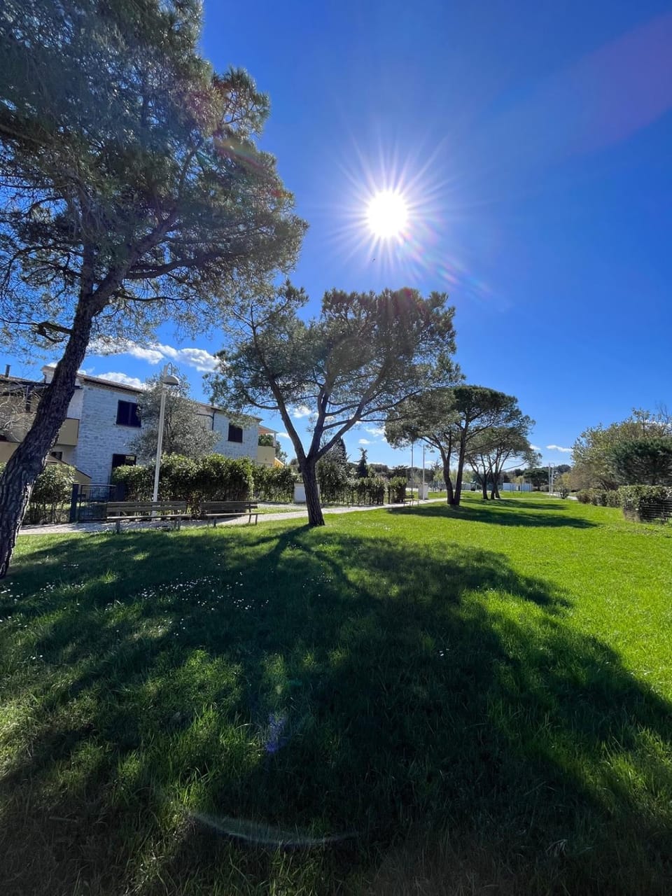 Trilocale Giglio, in residence con piscina Apartment in Marche