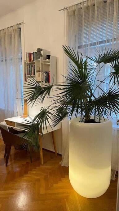 Charmante Innenstadtwohnung Apartment in Vienna